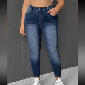Plus High Waist Skinny Jeans